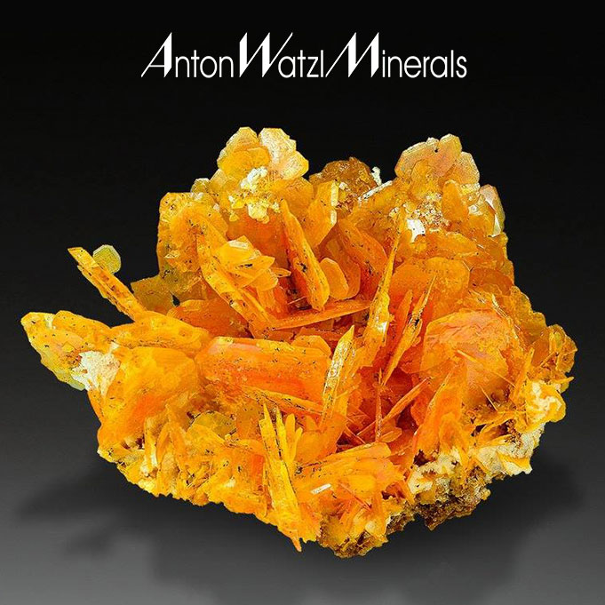 Anton Watzl Minerals