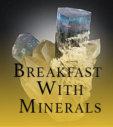Breakfast With Minerals Icon